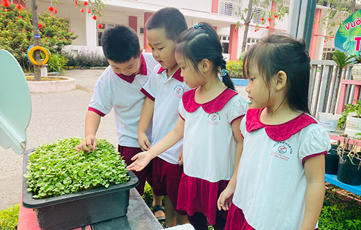 Học sinh trường Ngô Thời Nhiệm khởi nghiệp và giáo dục Stem bằng trồng rau Thủy Canh 