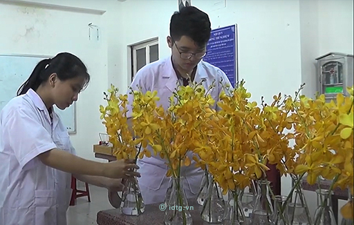 Đề tài Nghiên cứu Bảo quản hoa Lan Mokara SP bằng dung dịch muối kim loại