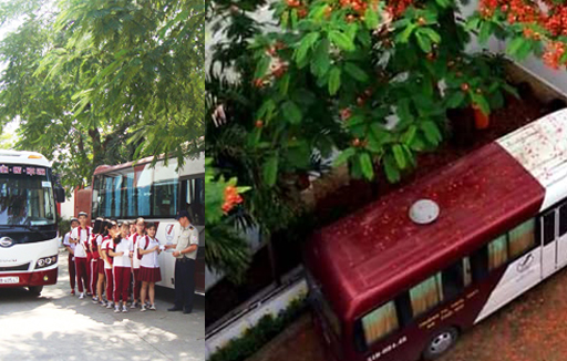 Trường nội trú tốt nhất ở TPHCM: Cách chọn đúng trường cho con thay vì chỉ nhìn bảng xếp hạng